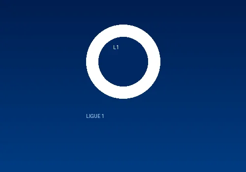 法甲联赛合作伙伴